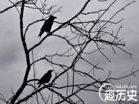 义乌市筱杵贸易商行