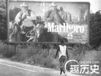 义乌市筱杵贸易商行