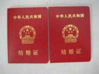 义乌市筱杵贸易商行