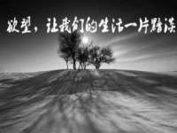 义乌市筱杵贸易商行