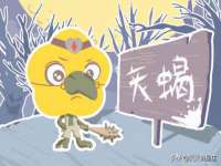 义乌市筱杵贸易商行