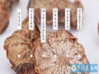 义乌市筱杵贸易商行