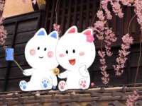 义乌市筱杵贸易商行