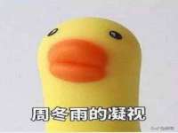 义乌市筱杵贸易商行