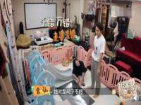 义乌市筱杵贸易商行