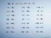 义乌市筱杵贸易商行