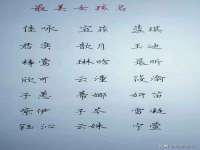 义乌市筱杵贸易商行