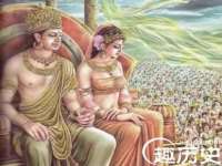 义乌市筱杵贸易商行